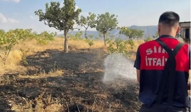 Siirt'te bağ yangınında 33 fıstık ağacı ile onlarca meyve ağacı zarar gördü