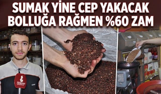 SUMAK YİNE CEP YAKACAK: BOLLUĞA RAĞMEN %60 ZAM