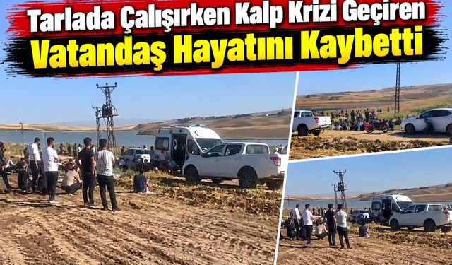 Tarlada Çalışırken Kalp Krizi Geçiren Vatandaş Hayatını Kaybetti