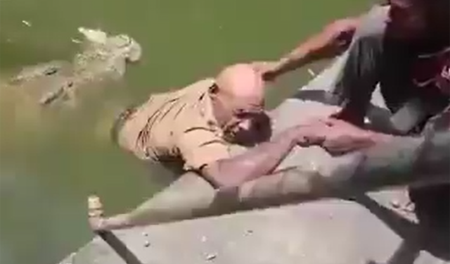 Timsahı beslemek için kafese girdi, saldırıya uğradı