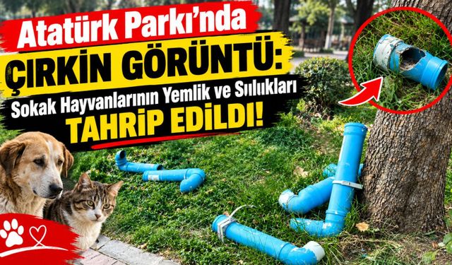 Atatürk Parkı’nda Çirkin Görüntü: Sokak Hayvanlarının Yemlik ve Sulukları Tahrip Edildi!