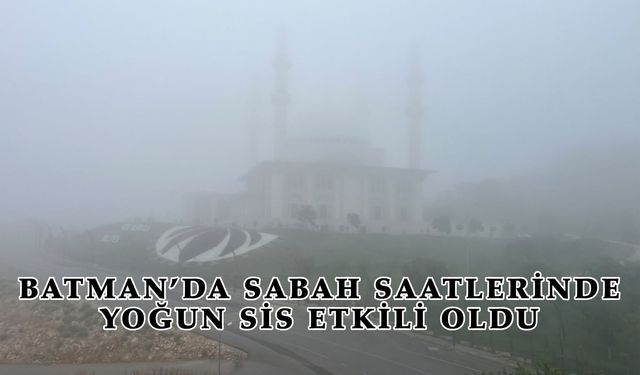 Batman’da Sabah Saatlerinde Yoğun Sis Etkili Oldu