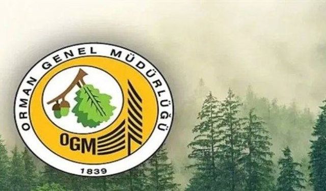 Orman Genel Müdürlüğü 12 Müfettiş Yardımcısı Alacak