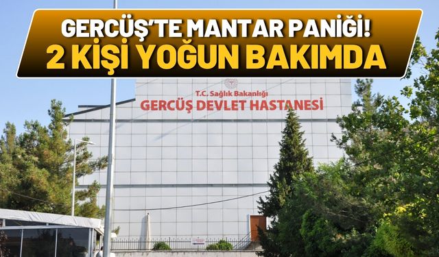 Gercüş’te mantar paniği! 2 kişi yoğun bakımda