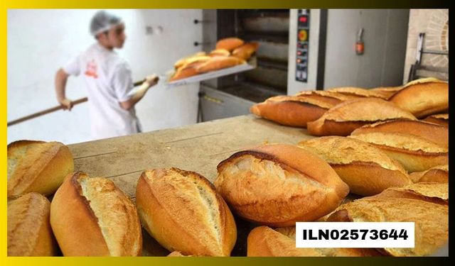 EKMEK FIRINI BAKIM VE ONARIM İŞLERİ YAPTIRILACAKTIR