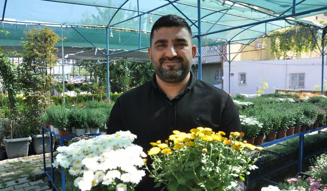 Kasımpatı Kış Aylarının Gözdesi
