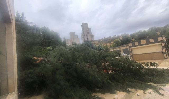 Mardin'de sağanak yağış hayatı olumsuz etkiledi