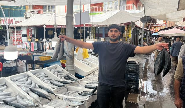 Yağmur Bereketi Balık Fiyatlarını Düşürdü