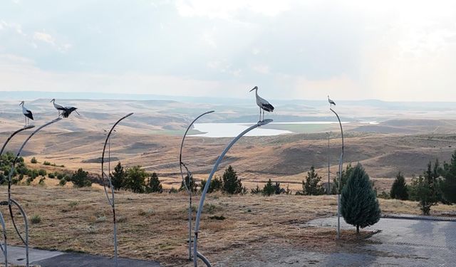Batı Raman Kampüsü leyleklerin göç rotasında