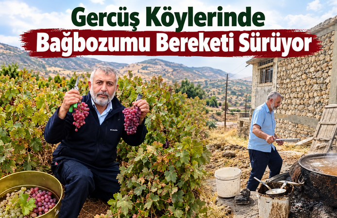 Gercüş Köylerinde Bağbozumu Bereketi Sürüyor