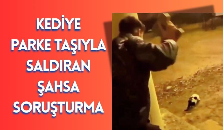 Kediye Parke Taşıyla Saldıran Şahsa Soruşturma