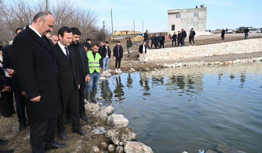 Kozluk Balıklı Göl Turizme Kazandırılıyor