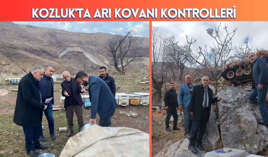 Kozluk'ta Arı Kovanı Kontrolleri