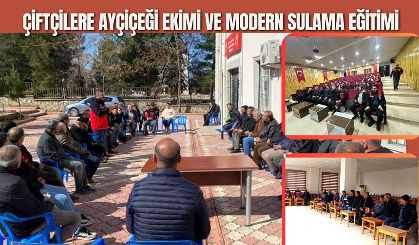 Çiftçilere Ayçiçeği Ekimi ve Modern Sulama Eğitimi