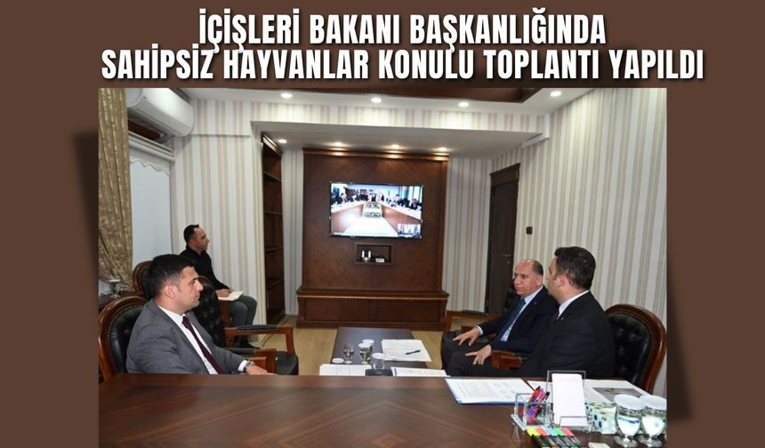 İçişleri Bakanı Başkanlığında Sahipsiz Hayvanlar Konulu Toplantı Yapıldı