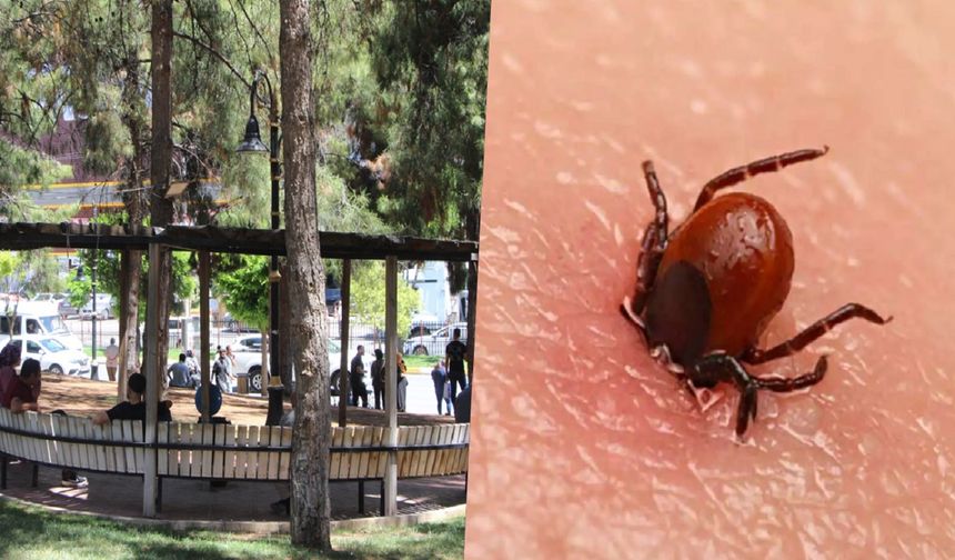 Kırım Kongo Kanamalı Ateşi’ne karşı dikkat edilmesi gerekenler?