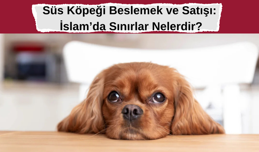 Süs Köpeği Beslemek ve Satışı: İslam’da Sınırlar Nelerdir?