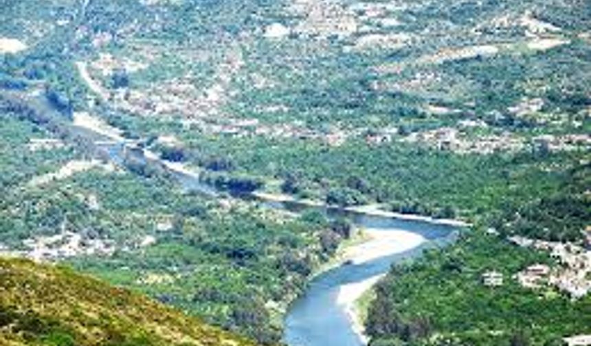 Habibi Neccar kimdir?