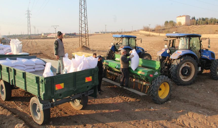 Batman'da buğday ekimine başlayan çiftçi kuraklık endişesi yaşıyor
