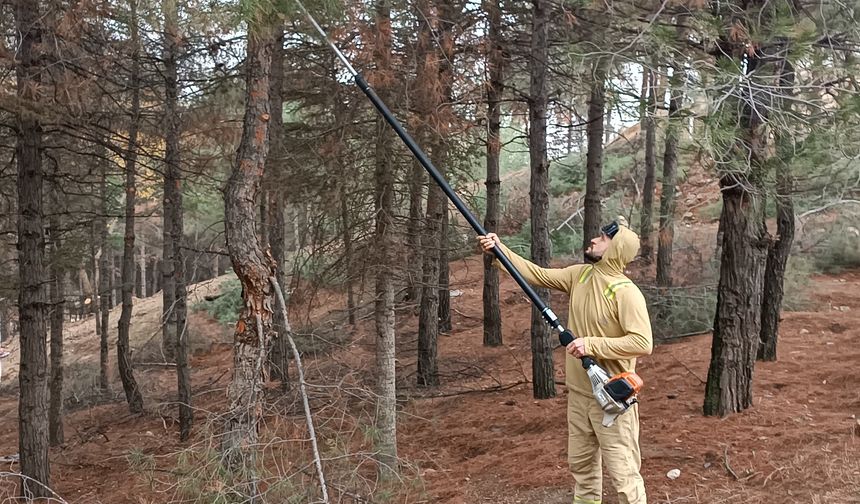 Beşiri’de Çam Ağaçlarına "Nefes" Operasyonu