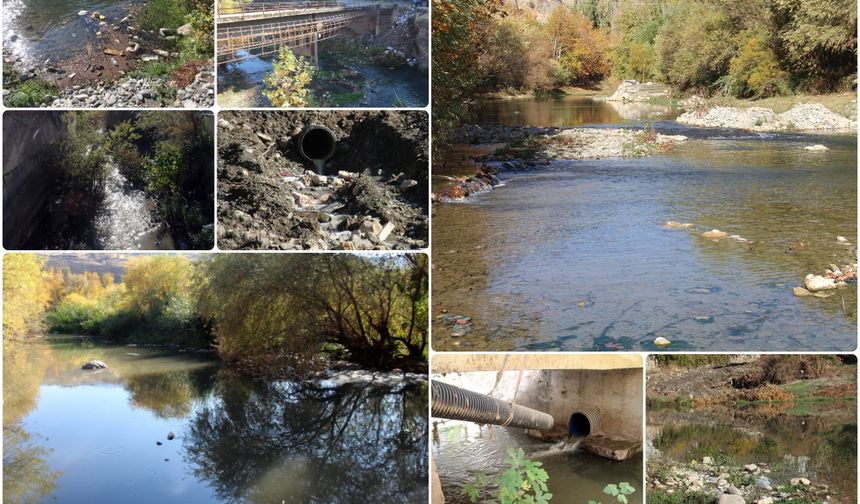 Çermikliler: Yıllarca ilçenin su kaynağı olan sinek çayı şimdi çevreye hastalık yayıyor