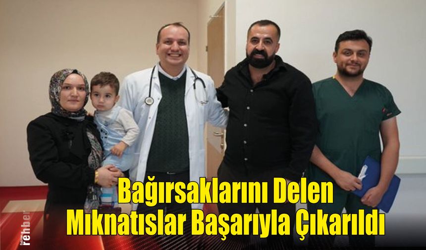 Bağırsaklarını Delen Mıknatıslar Başarıyla Çıkarıldı