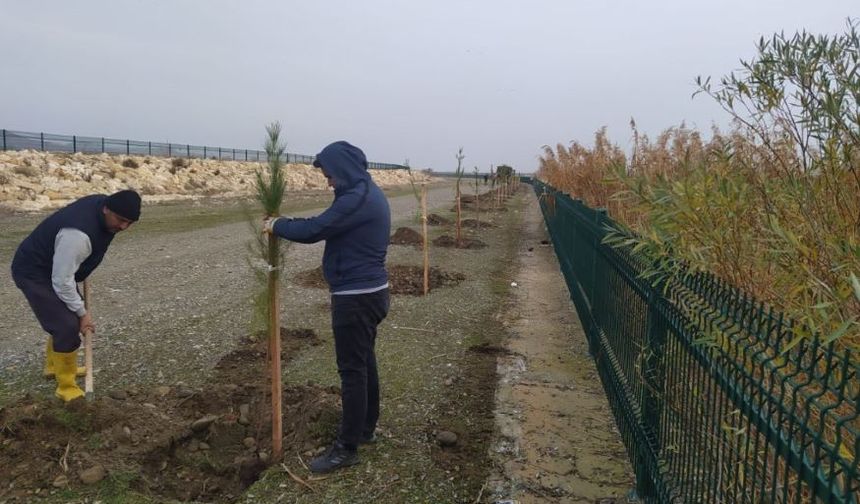 Mavi Yeşil Batman’a 10 Kilometrelik Nefes