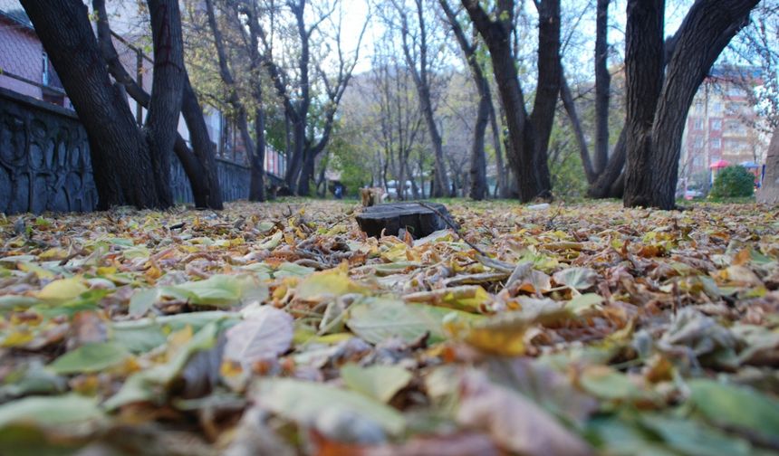 Ülke genelinde yağış beklenmiyor