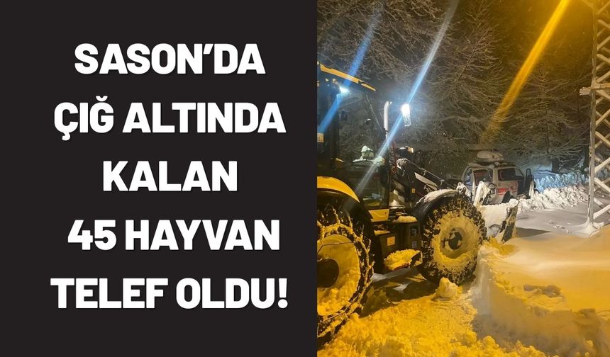 Sason’da Çığ Altında Kalan 45 Hayvan Telef Oldu!