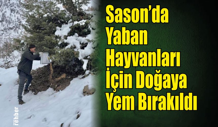 Sason’da Yaban Hayvanları İçin Doğaya Yem Bırakıldı