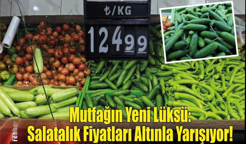 Mutfağın Yeni Lüksü: Salatalık Fiyatları Altınla Yarışıyor!