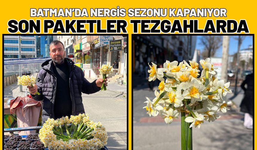 Batman’da Nergis Sezonu Kapanıyor: Son Paketler Tezgahlarda