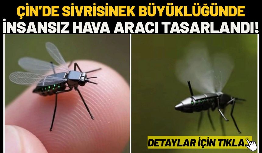 Çin’de Sivrisinek Büyüklüğünde İnsansız Hava Aracı Tasarlandı!