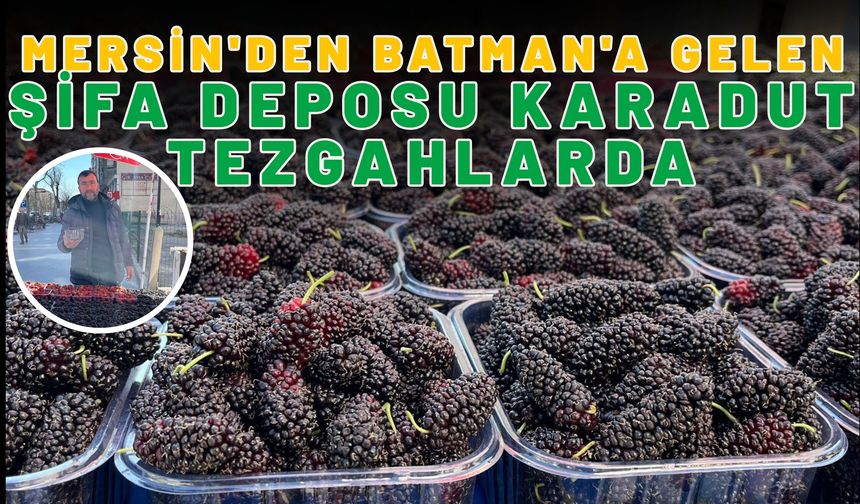 Mersin'den Batman'a Gelen Şifa Deposu Karadut Tezgahlarda