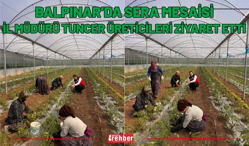 Balpınar’da Sera Mesaisi: İl Müdürü Tuncer Üreticileri Ziyaret Etti