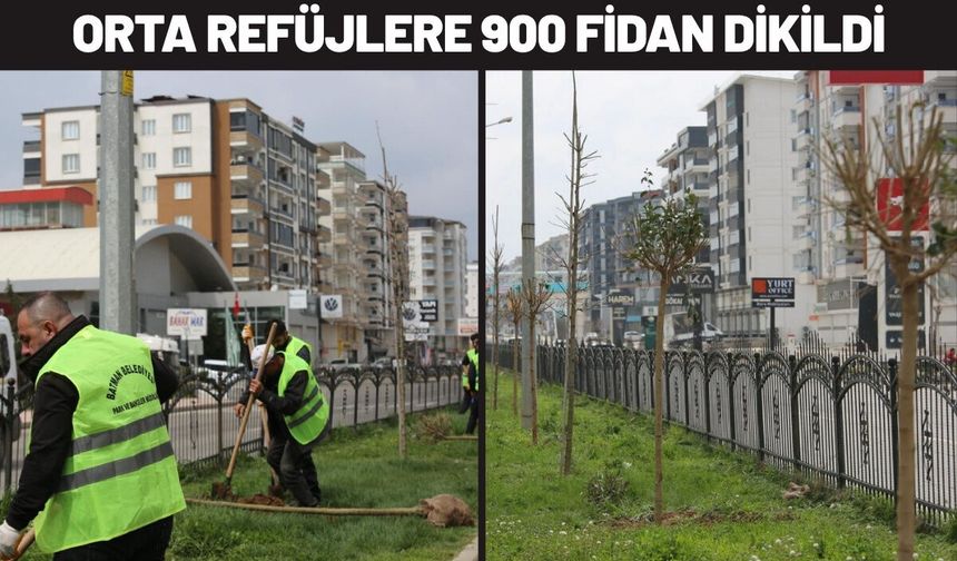 Batman’da Orta Refüjlere 900 Fidan Dikildi