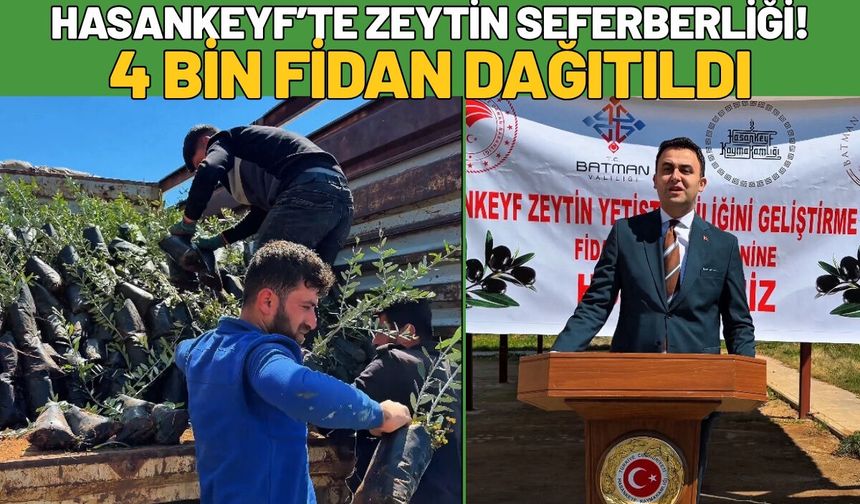 Hasankeyf’te Zeytin Seferberliği! 4 Bin Fidan Dağıtıldı