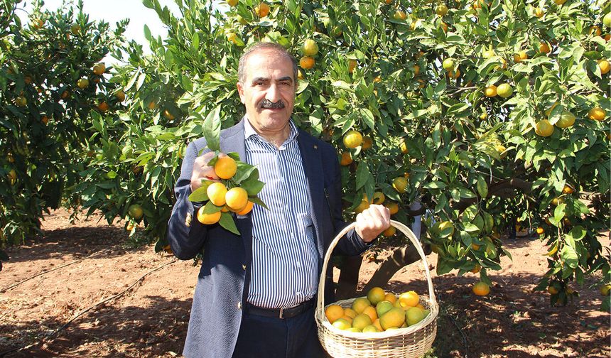 Yaş meyve sebze ihracatı 1 milyar 70 milyon doları aştı