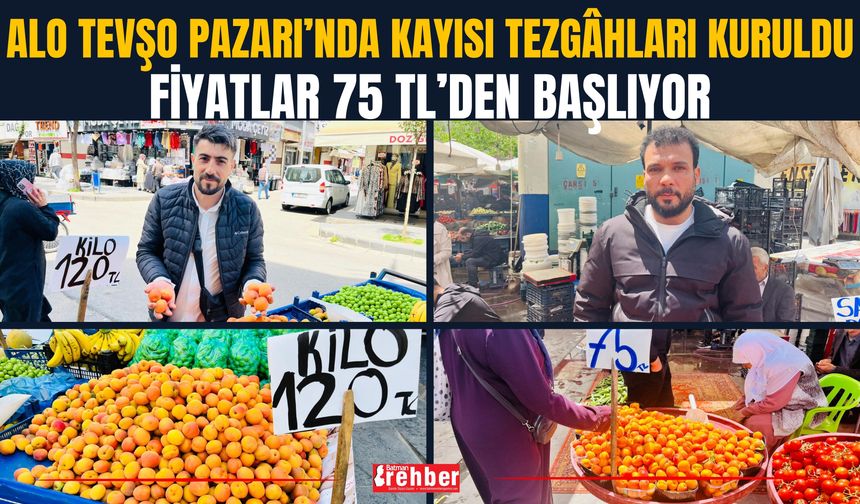 Alo Tevşo Pazarı’nda Kayısı Tezgâhları Kuruldu: Fiyatlar 75 TL’den Başlıyor