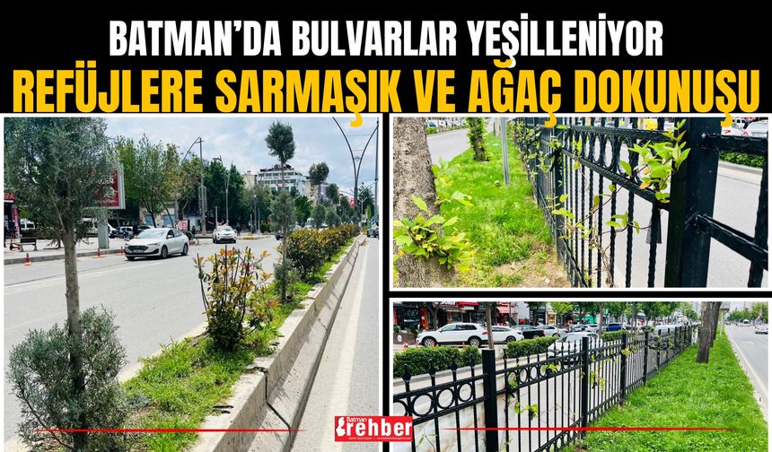 Batman’da Bulvarlar Yeşilleniyor: Refüjlere Sarmaşık Ve Ağaç Dokunuşu