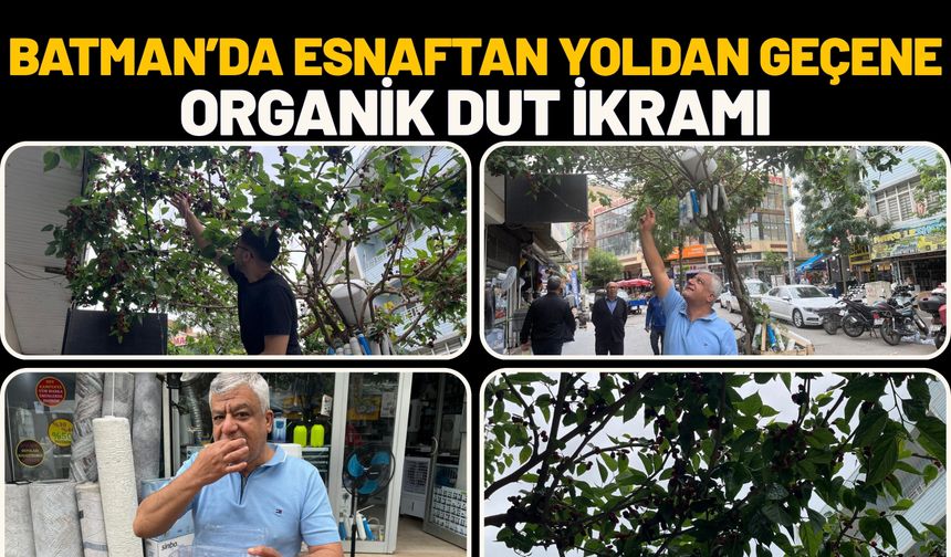 Batman’da Esnaftan Yoldan Geçene Organik Dut İkramı