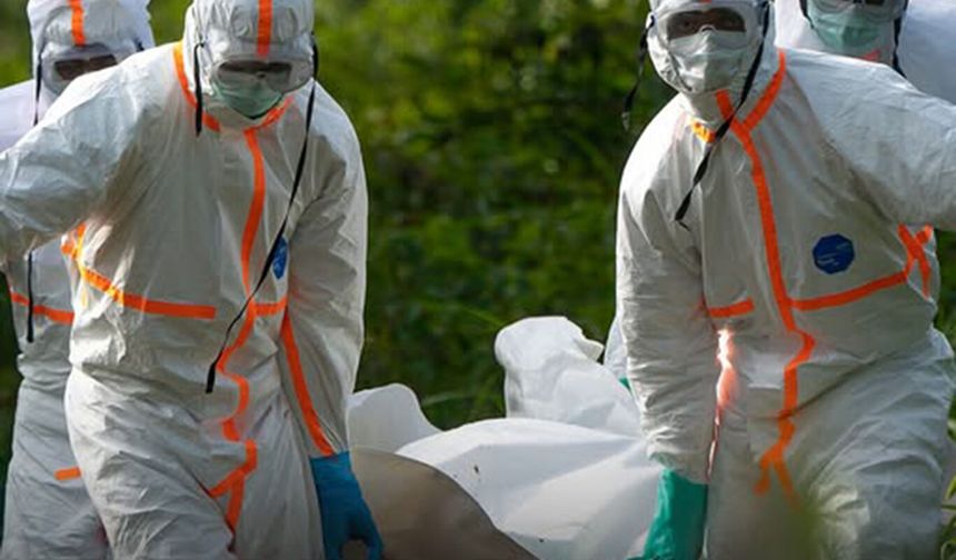 DSÖ'den Ebola salgını için küresel acil durum ilanı