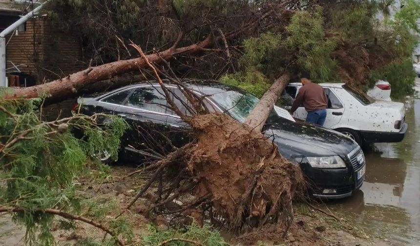 Gaziantep ve Şanlıurfa'ya afet desteği: 150 milyon TL kaynak aktarıldı