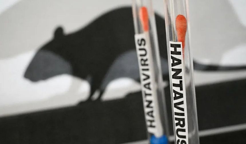 Sağlık Bakanlığından hantavirüs açıklaması: 3 vatandaşımız ülkemize getirilecek