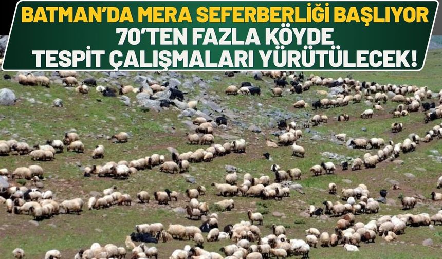 Batman’da Mera Seferberliği Başlıyor: 70’ten Fazla Köyde Tespit Çalışmaları Yürütülecek!