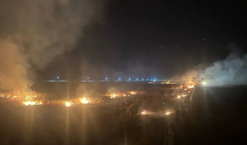 Mardin'de yerleşim alanlarına sıçrayan anız yangınları kontrol altına alındı