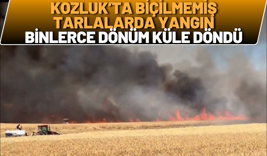 Kozluk’ta Biçilmemiş Tarlalarda Yangın: Binlerce Dönüm Küle Döndü