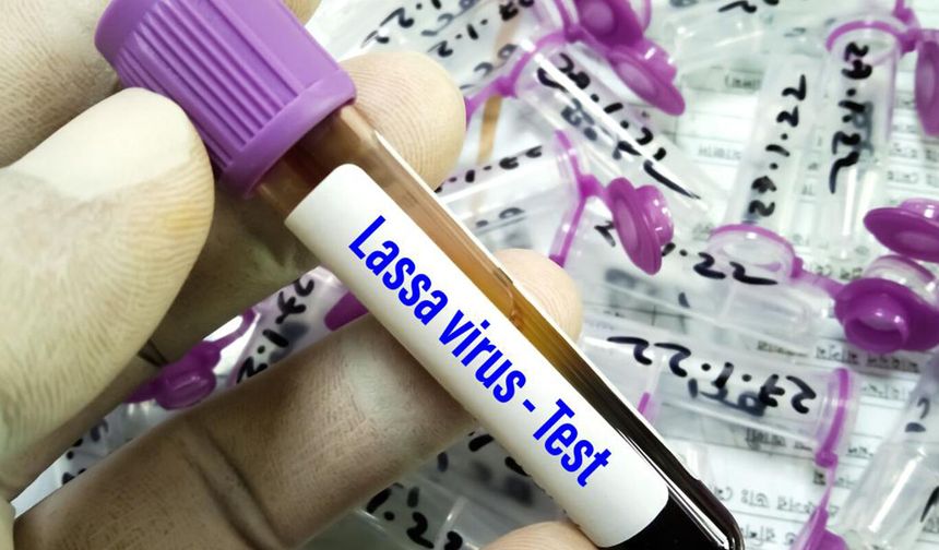 Nijerya'da Lassa ateşi salgınında hayatını kaybedenlerin sayısı 224'e yükseldi