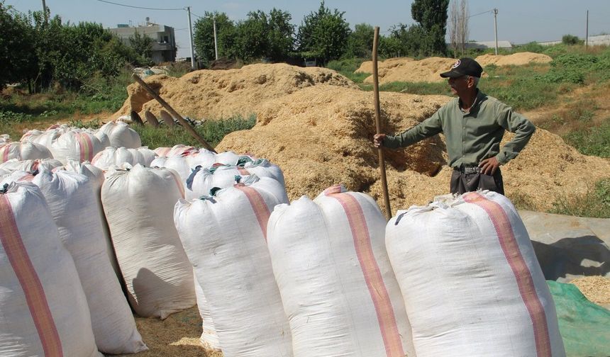 Batmanlı çiftçiler kışlık saman hazırlığını sürdürürken artan maliyetlerden yakındı