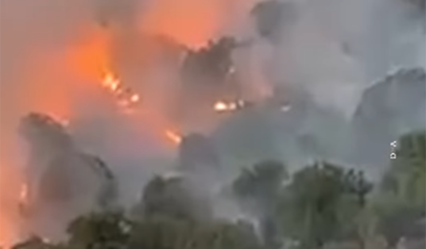 Elazığ'da orman yangını